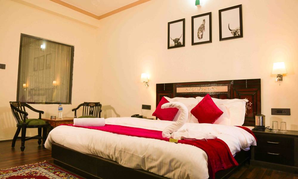 top 10 hotel in Leh Ladakh