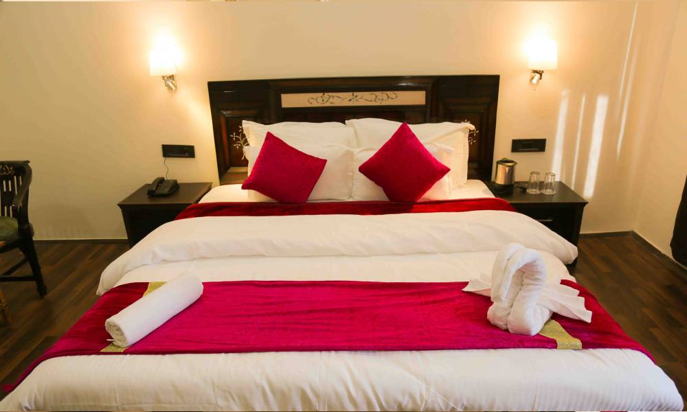 top 10 hotel in Leh Ladakh